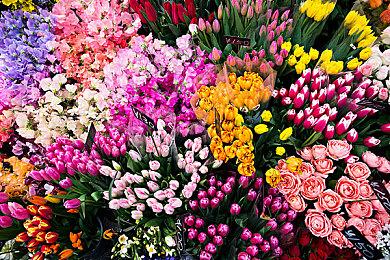 《丧尸围城 豪华复刻版》正式发售 steam综合评价“多半好评”